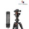 K&F Concept KF09.123 K254C2 BH-36L Portable Carbon Fiber Camera Tripod